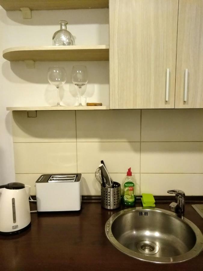 Cozy Downtown Oasis Apartment Bucureşti Exterior foto